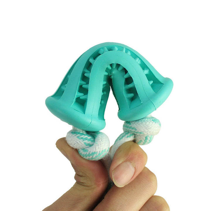 Dog molar chew toy