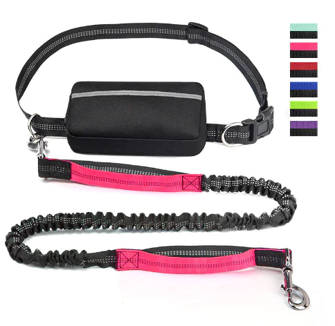 Canine Waist Pack