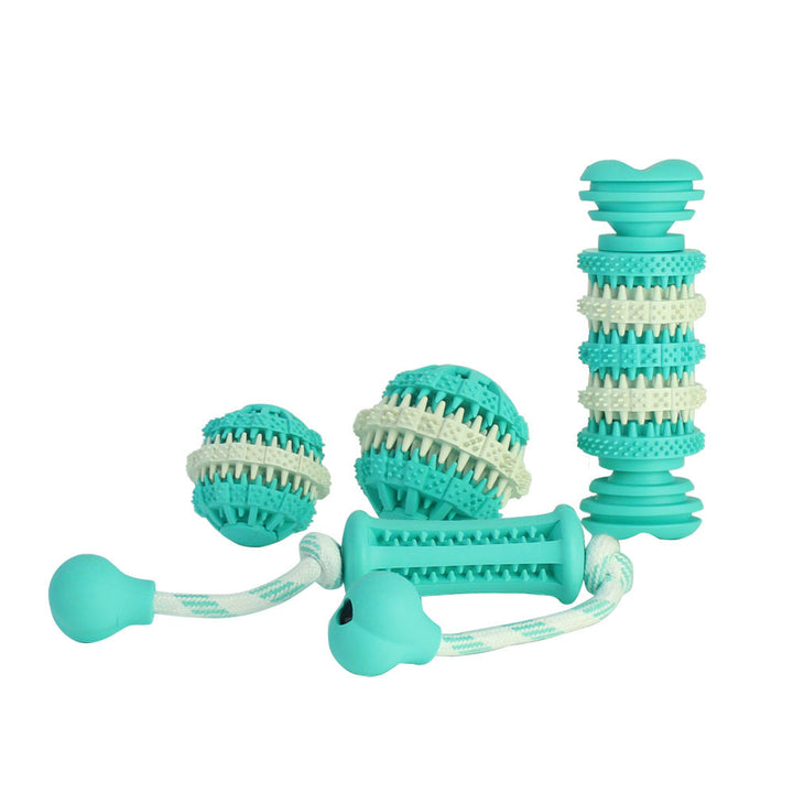 Dog molar chew toy