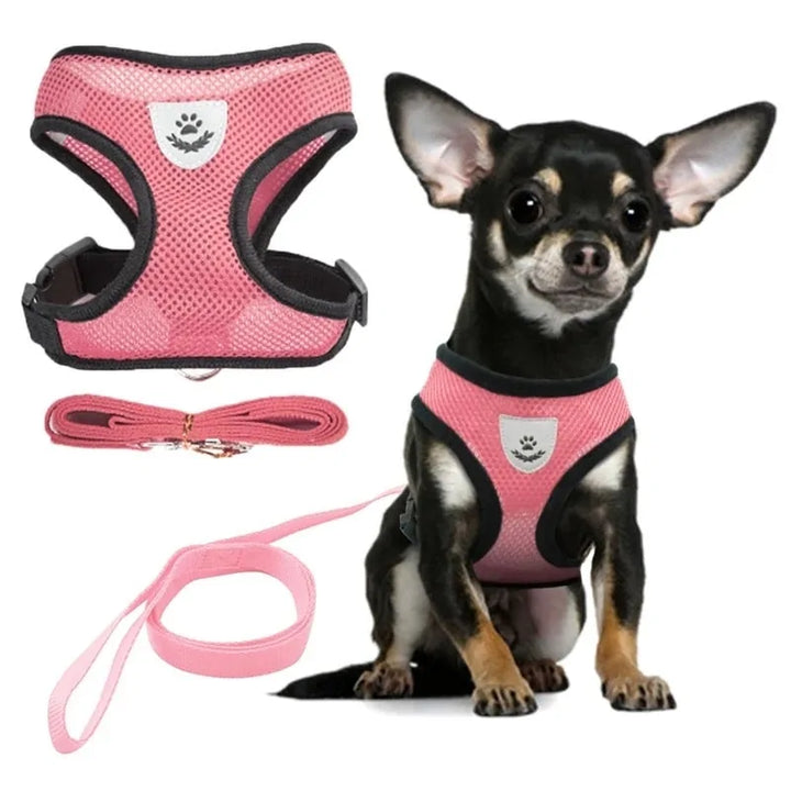 Pet Harness - cat and dog