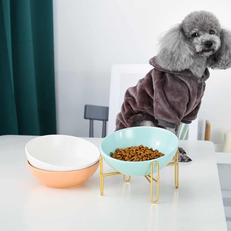 Premium Pet Bowl for Your Beloved Pets Essential Pet Supplies