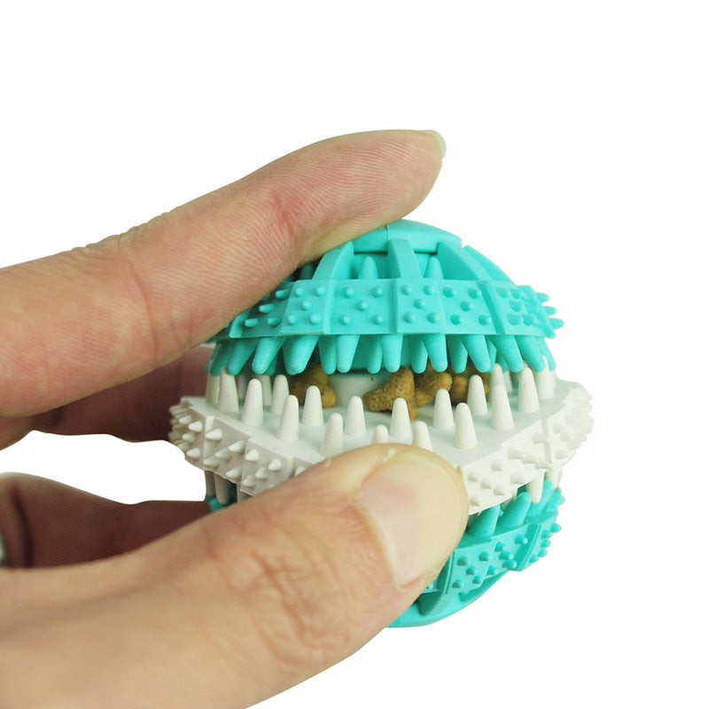 Dog molar chew toy