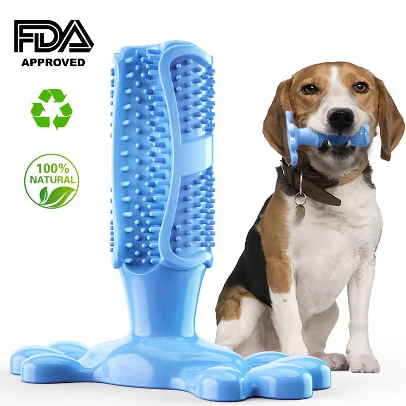 Cactus Chew Toy Dispenser