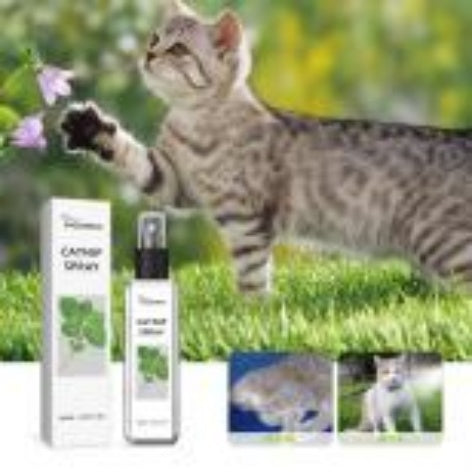 Alleviate Cat Anxiety, Enhance Pet Vitality, Health Care Spray
