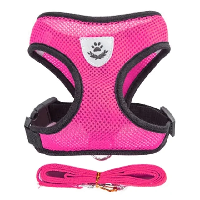 Pet Harness - cat and dog