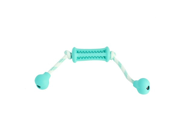 Dog molar chew toy