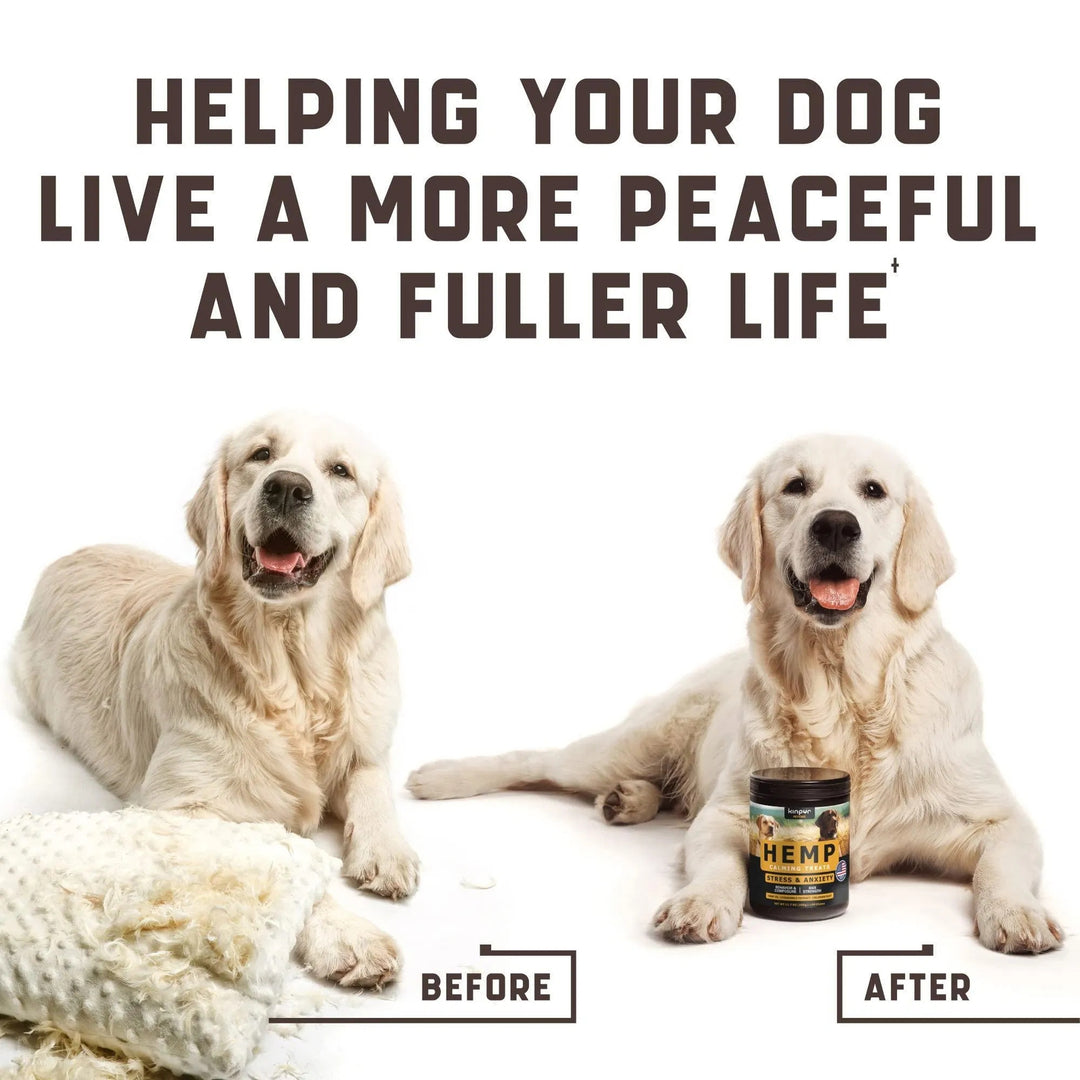 Natural Calming Chews For Dogs With Hemp Oil And Valerian Root Peanut Butter Flavor 180 Chews