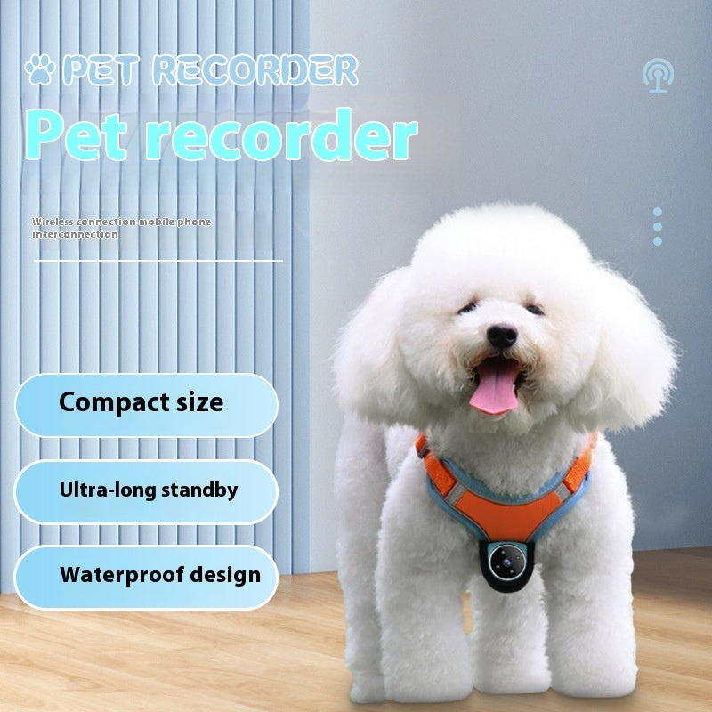 Motion-Recording Pet Tracker Collar with Action Camera for Dogs and Cats