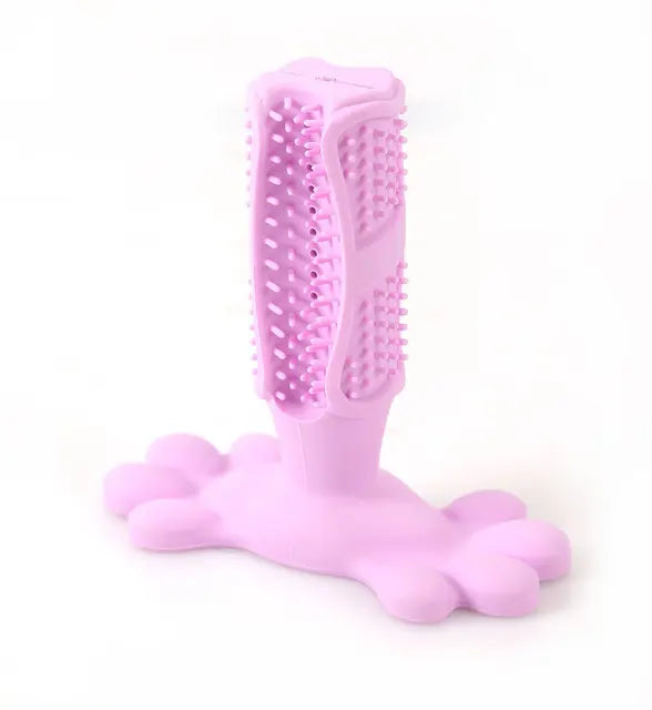 Cactus Chew Toy Dispenser