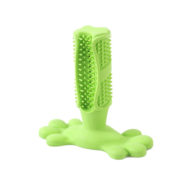 Cactus Chew Toy Dispenser