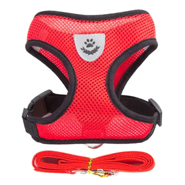 Pet Harness - cat and dog