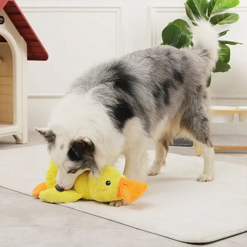 Durable Plush Chew Toy