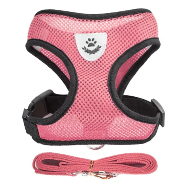 Pet Harness - cat and dog