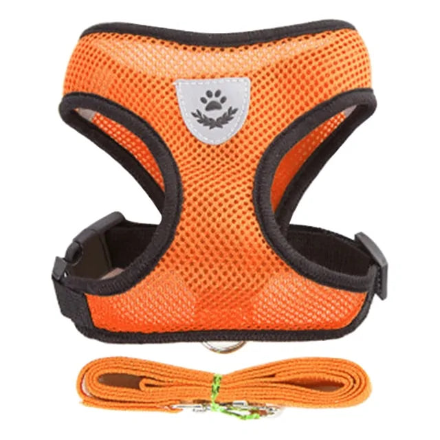 Pet Harness - cat and dog