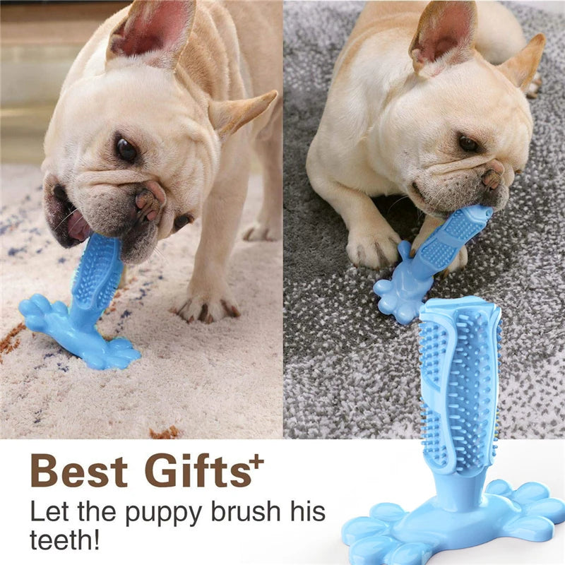 Cactus Chew Toy Dispenser