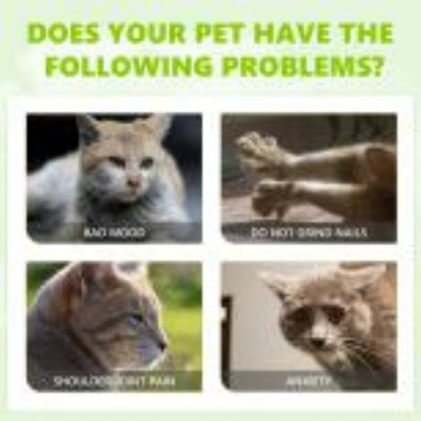 Alleviate Cat Anxiety, Enhance Pet Vitality, Health Care Spray