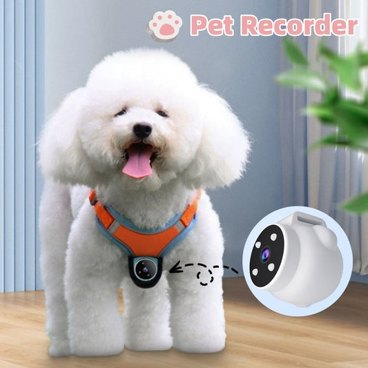 Motion-Recording Pet Tracker Collar with Action Camera for Dogs and Cats