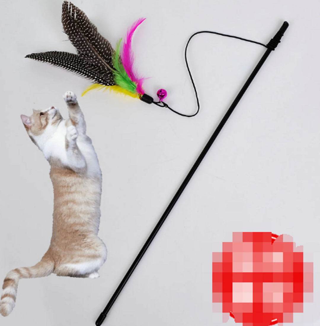 Funny Kitten Cat Teaser Interactive Toy Rod with Bell and Feather