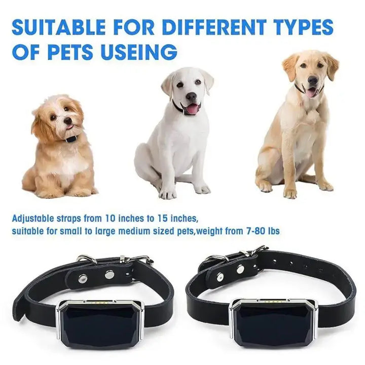 Smart Collar Waterproof Pet Locator