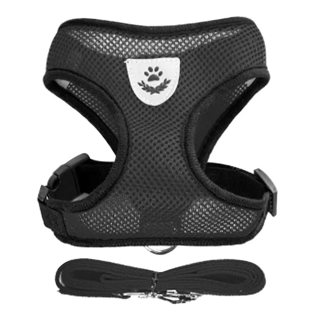 Pet Harness - cat and dog