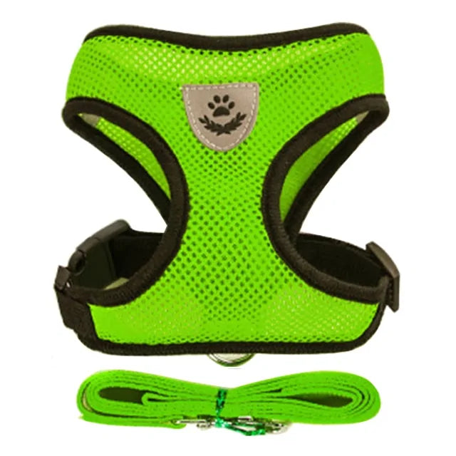 Pet Harness - cat and dog