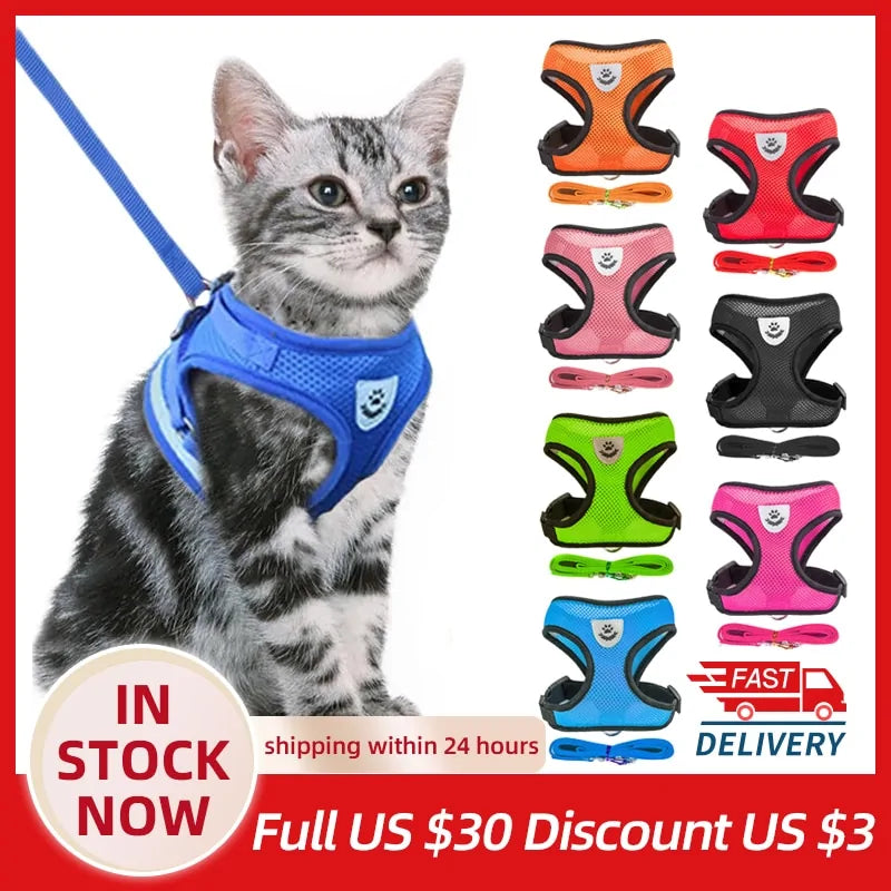 Pet Harness - cat and dog